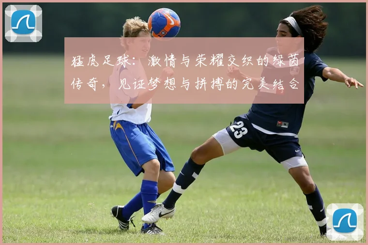 猛虎足球：激情与荣耀交织的绿茵传奇，见证梦想与拼搏的完美结合