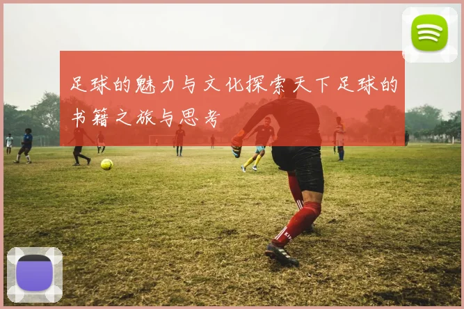 足球的魅力与文化探索天下足球的书籍之旅与思考