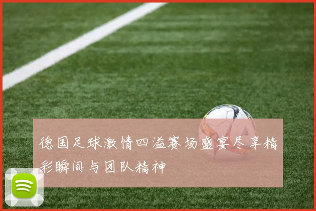 德国足球激情四溢赛场盛宴尽享精彩瞬间与团队精神